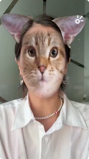tiktok1