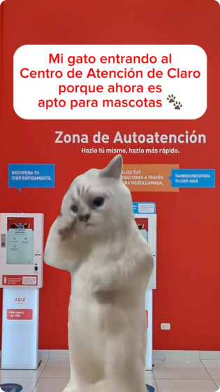tiktok3