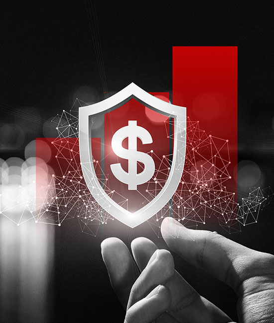 Protección financiera y de datos