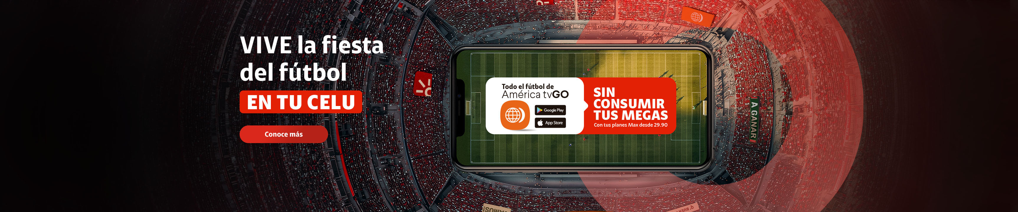 fiesta del futbol